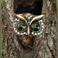 OWL RING