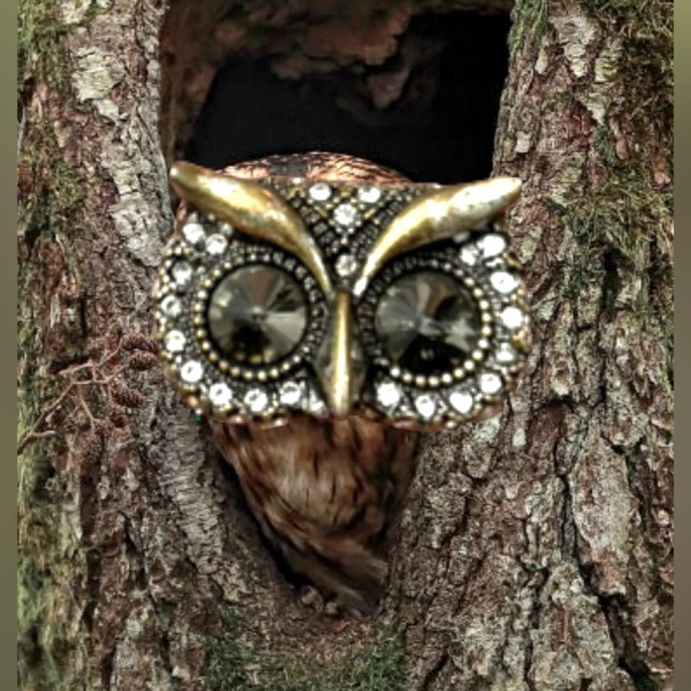 OWL RING